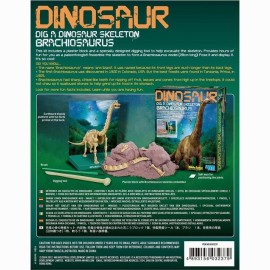 4M Vaikiška laboratorija: brachiozauro skeletas