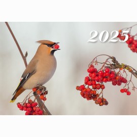 Kalendorius  mėnesinis