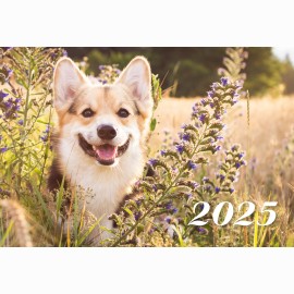 Kalendorius  mėnesinis