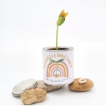 Augantis linkėjimas Stebuklinga pupa (maža)