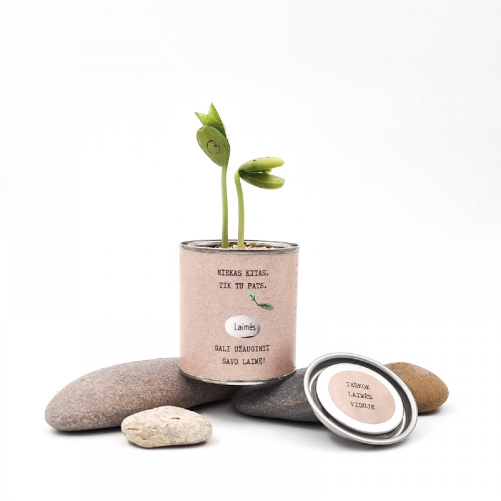 Augantis linkėjimas Laimės (kraft, maža)