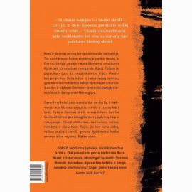 Septintas susitikimas