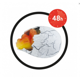 Augantis dinozauro kiaušinis 6 rūšys/D6G/BF
