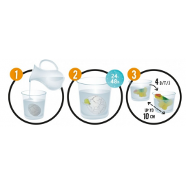 Augantis dinozauro kiaušinis 6 rūšys/D6G/BF