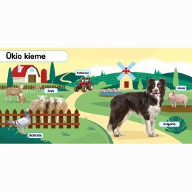 Minkštukai. Ūkio gyvūnai