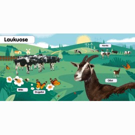 Minkštukai. Ūkio gyvūnai