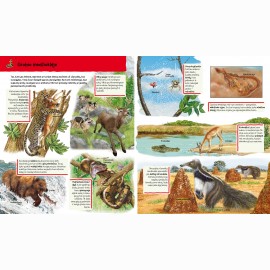 Pasaulio gyvūnai. Vaikų žinių šaltinis