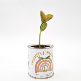 Augantis linkėjimas Stebuklinga pupa (maža)