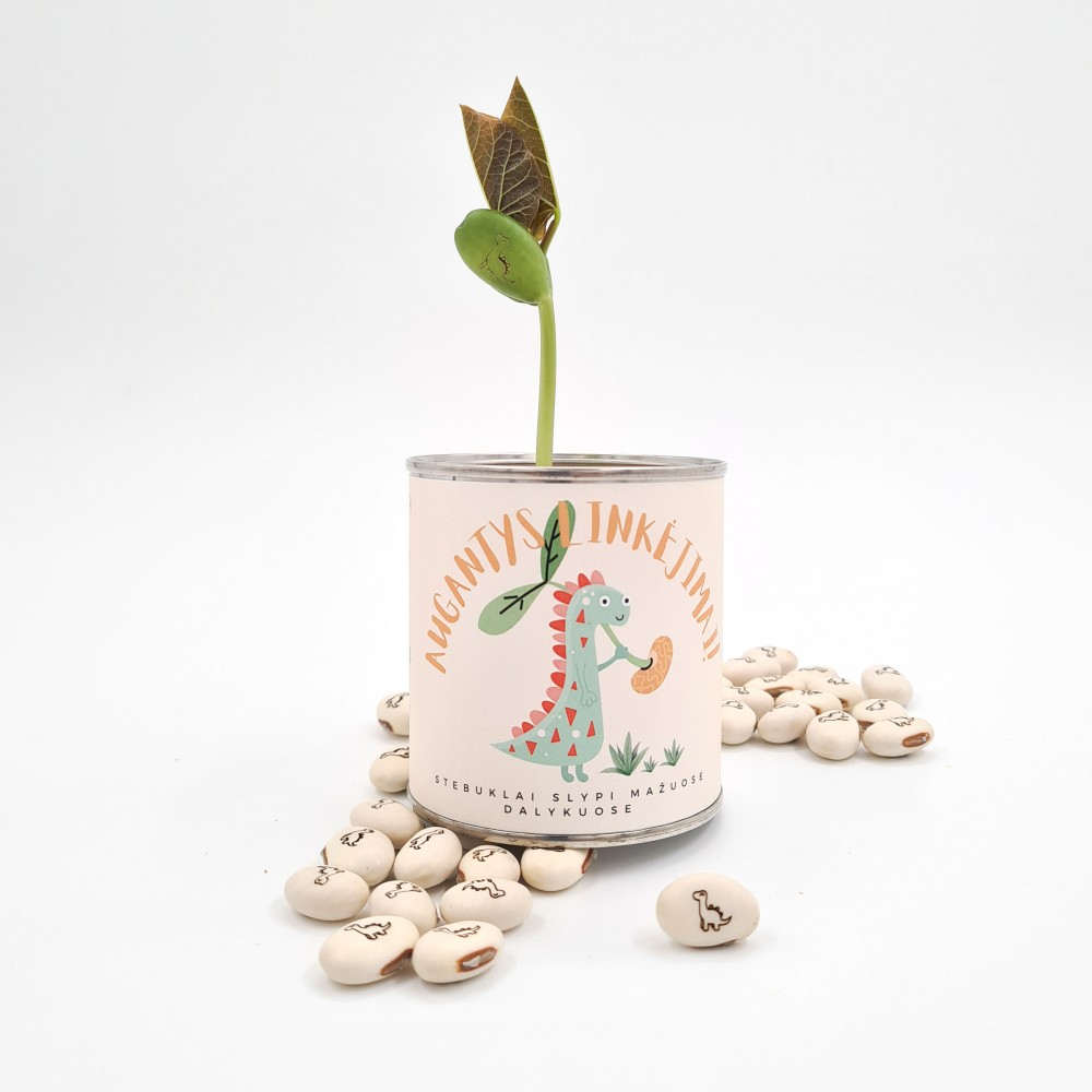 Auganti dovana Dinozauras (maža)