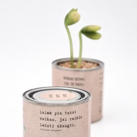 Augantis linkėjimas Laimės (kraft, maža)