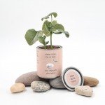 Augantis linkėjimas Meilės (kraft, maža)