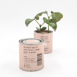 Augantis linkėjimas Meilės (kraft, maža)