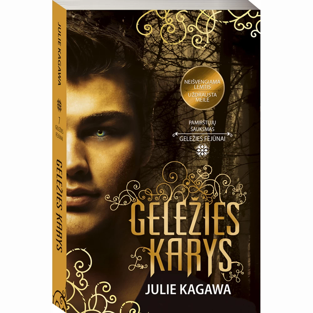 Geležies karys