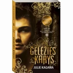 Geležies karys
