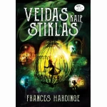 Veidas kaip stiklas