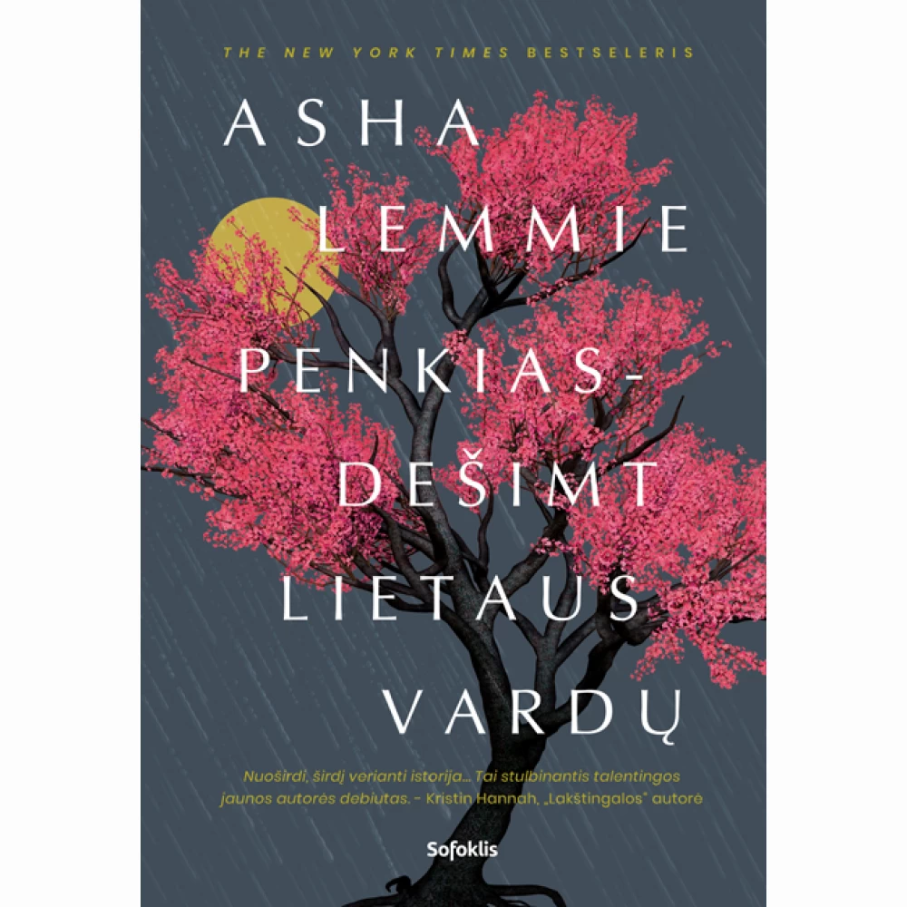 Penkiasdešimt lietaus vardų