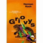 Griovys