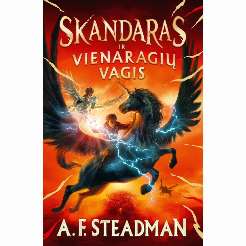 Skandaras ir vienaragių vagis