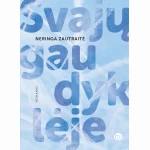 Svajų gaudyklėje