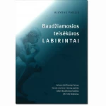 Baudžiamosios teisėkūros labirintai 