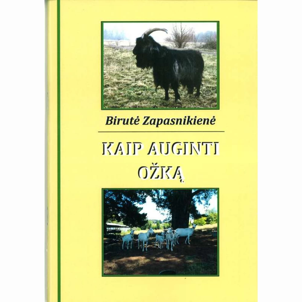 Kaip auginti ožką 