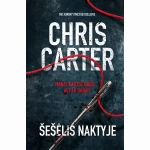 Šešėlis naktyje. Detektyvas Robertas Hanteris (2020)