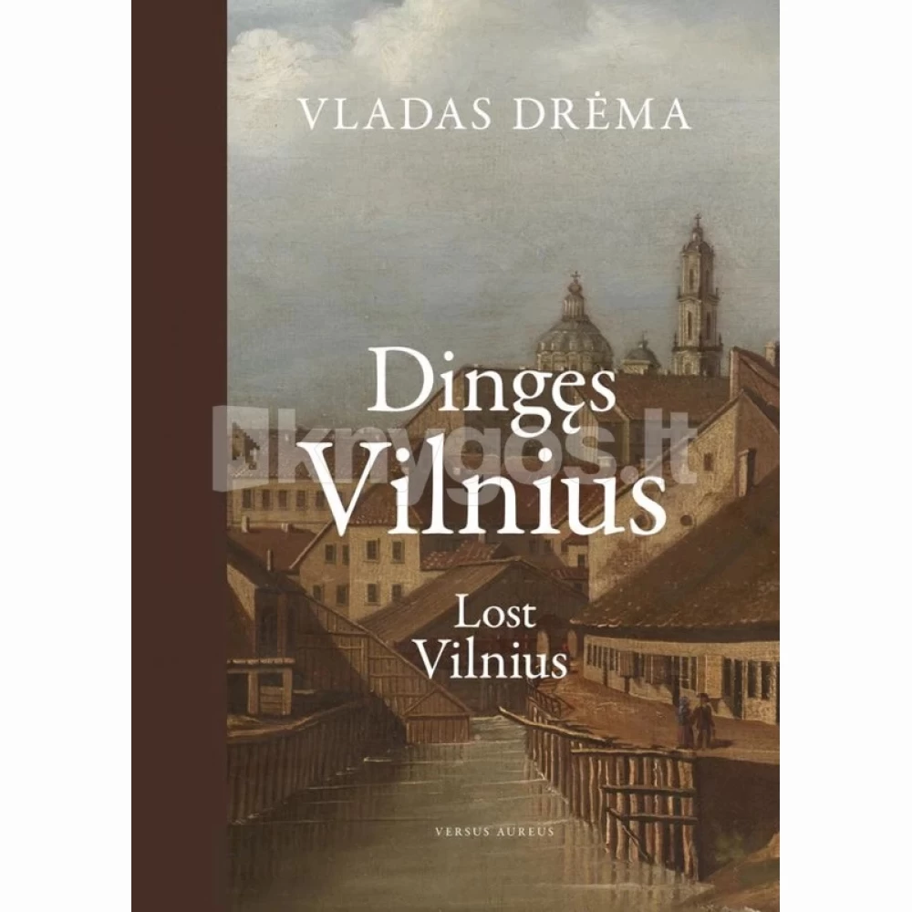 Dingęs Vilnius Dingęs Vilnius