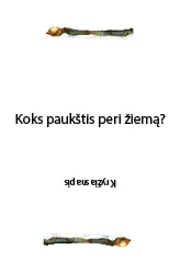 Sukasi metų ratas