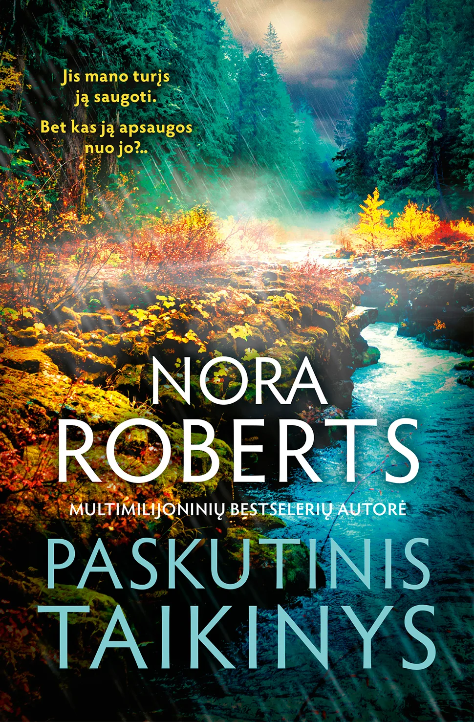 Paskutinis taikinys