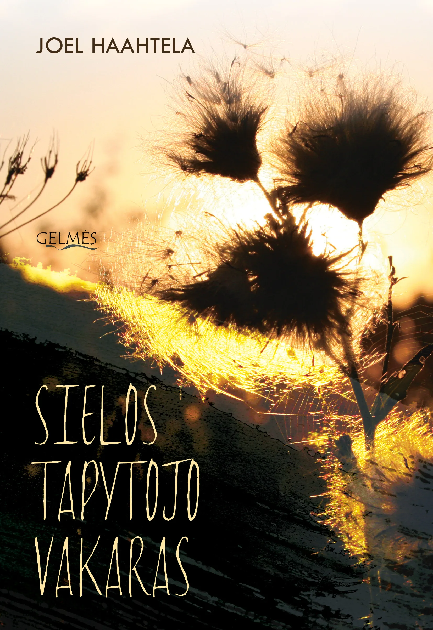 Sielos tapytojo vakaras